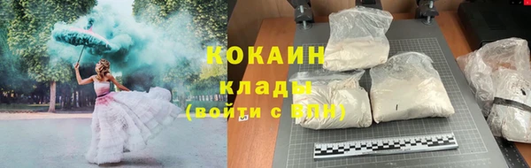 винт Майский