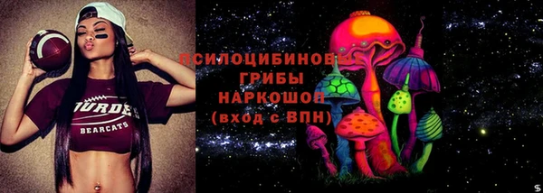 ECSTASY Магас