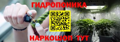 гидропоника Ликино-Дулёво